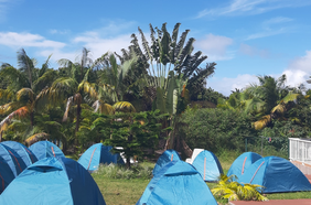 camping le bois joli coeur journée d'entreprise karaoké