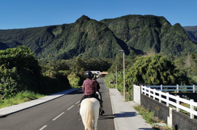 Paysages La Plaine-des-Palmistes rempart la plaine des palmistes