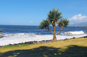 Journée Bras-Panon rivière des roches