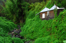 Séminaire à Hell-Bourg séminaire d'entreprise la réunion